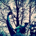 fallback