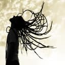 fallback