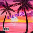 fallback