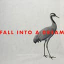 fallback