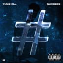 fallback