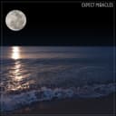 fallback