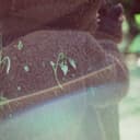 fallback
