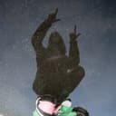 fallback