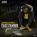fallback
